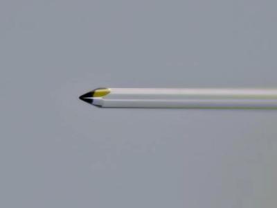 レンズファイバーのスペクトル診断への応用