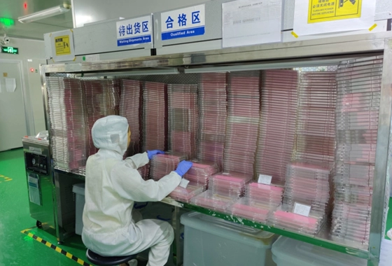 製品品質検査